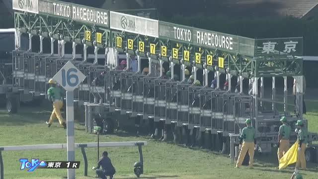 2歳未勝利 結果・払戻 | 2023年11月4日 東京1R レース情報(JRA