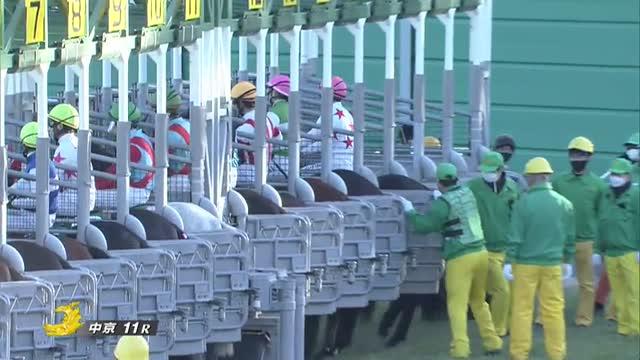 京都金杯 レース映像