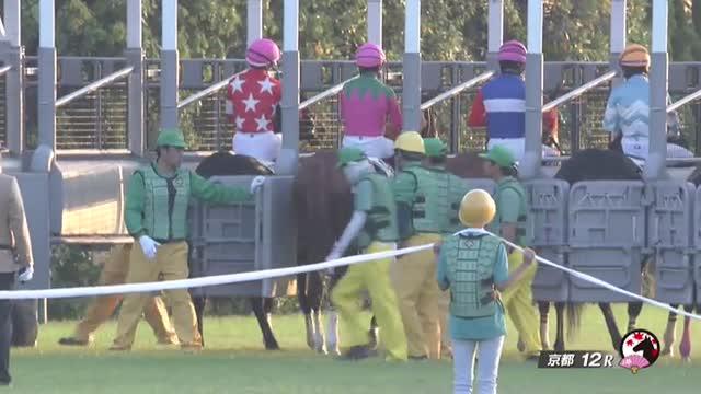 全品送料無料中 JRA単勝馬券【イットウリョウダン京都競馬1回3日12