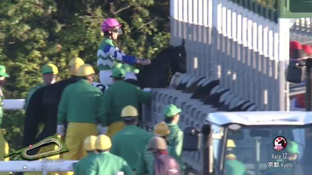 ３歳以上２勝クラス 結果・払戻 | 2023年11月25日 京都12R レース情報