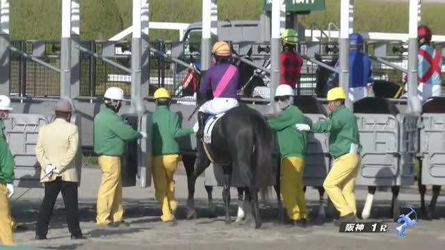 ２歳未勝利 結果・払戻 | 2023年12月9日 阪神1R レース情報(JRA