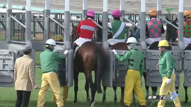 ２歳未勝利 結果・払戻 | 2023年12月9日 阪神7R レース情報(JRA