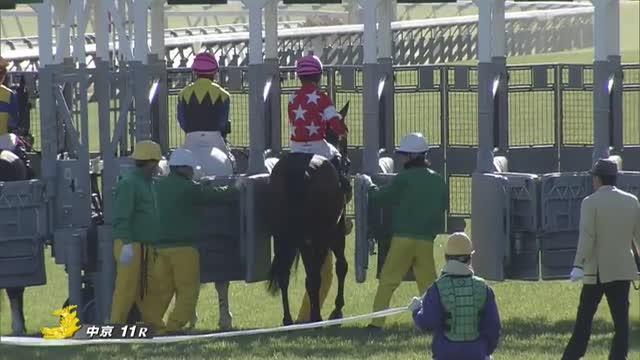 金鯱賞(G2) 結果・払戻 | 2024年3月10日 中京11R レース情報(JRA 