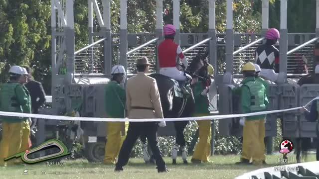 京都牝馬S レース映像