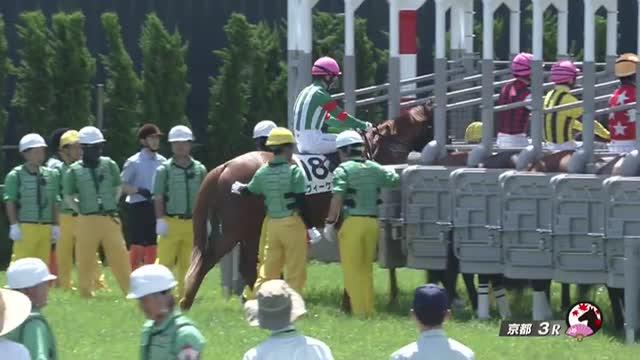 ３歳未勝利 結果・払戻 | 2024年4月28日 京都3R レース情報(JRA 