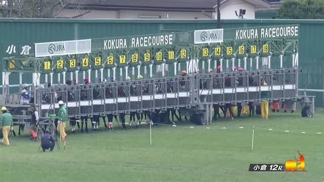 ４歳以上１勝クラス 結果・払戻 | 2024年1月27日 小倉12R レース情報