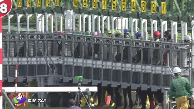 『デュランダル』単勝馬券（Ｇ１出走レース５枚セット） デュランダル』単勝馬券（G1出走レース5枚セット）