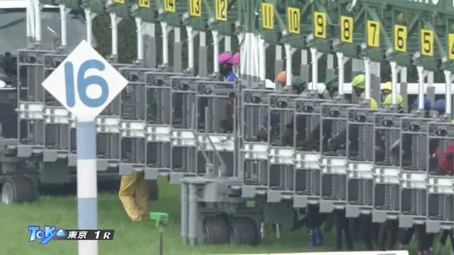 3歳未勝利 結果・払戻 | 2025年4月26日 東京1R レース情報(JRA