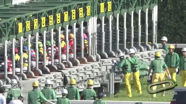 京王杯スプリングカップ2025特集 | netkeiba 競馬予想・結果