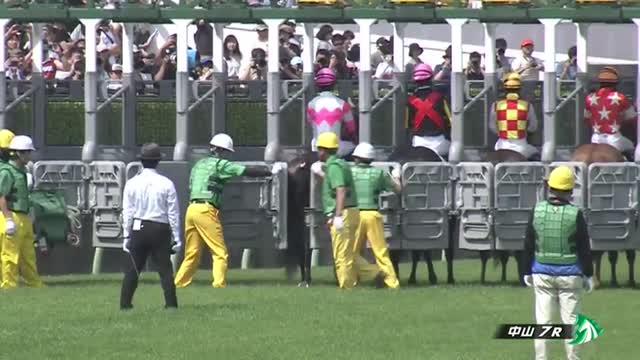 4歳以上1勝クラス 結果・払戻 | 2025年4月19日 中山7R レース