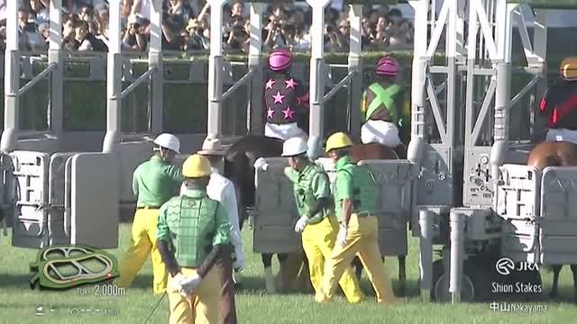 ファレノプシス　武豊　秋華賞　競走馬　写真　パネル　額縁入り　スポーツ新聞付き ファレノプシス 武豊 秋華賞 競走馬 写真 パネル 額縁入り