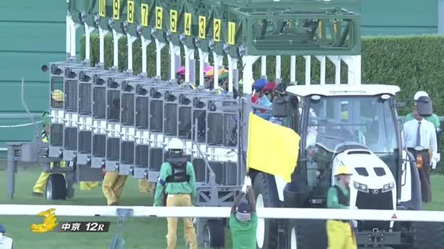 『デュランダル』単勝馬券（Ｇ１出走レース５枚セット） 61q6GsROlvL._AC_SY200_QL15_.jpg