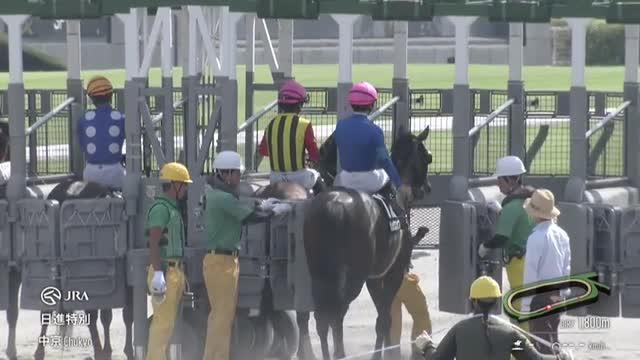 JRA第2回ジョッキーマスターズ特別記念セット WASJ】岩田望来騎手が大激戦を制して個人戦優勝 チーム戦は