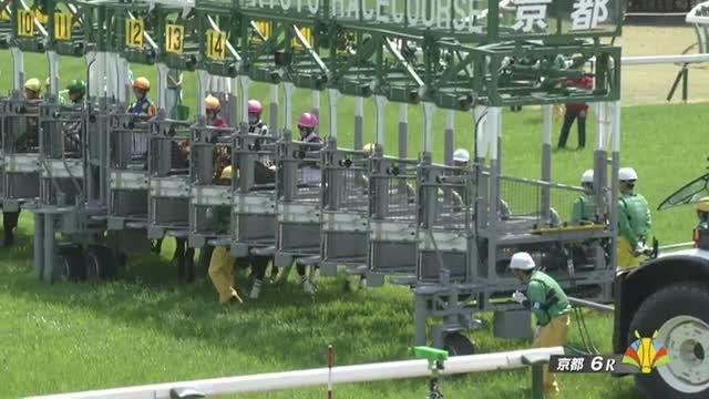3歳未勝利 結果・払戻 | 2025年4月26日 京都6R レース情報(JRA