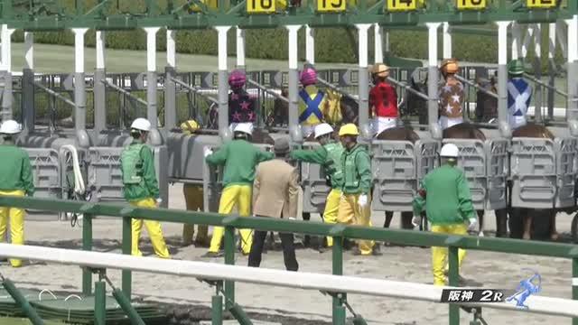 3歳未勝利 結果・払戻 | 2025年4月6日 阪神2R レース情報(JRA