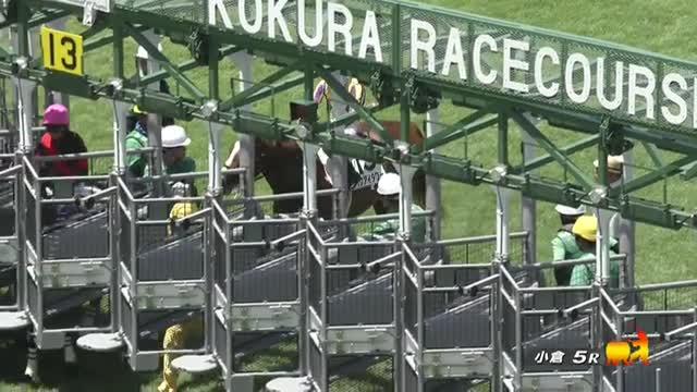 【期限切れ単勝馬券】　2歳新馬　ゴールドアリュール 2024年1月6日京都10R万葉S(OP芝3000m)にてゴールドシップ産駒