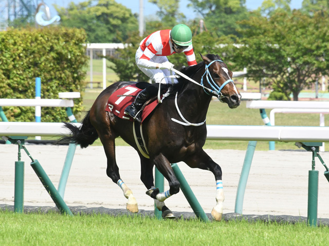 京都ハイジャンプ21特集 Netkeiba Com 競馬予想 結果 速報 オッズ 出馬表 出走予定馬 騎手 払戻など競馬最新情報