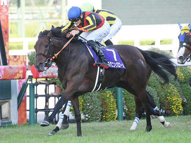 秋華賞(G1) 結果・払戻 | 2022年10月16日 阪神11R レース情報(JRA