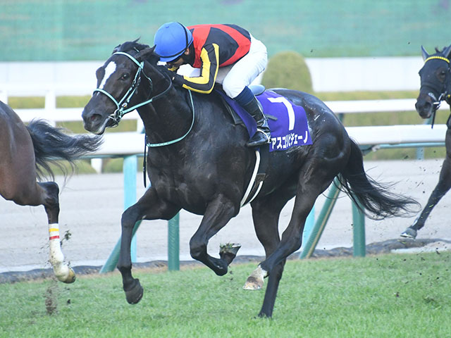 阪神ＪＦ(G1) 結果・払戻 | 2023年12月10日 阪神11R レース情報(JRA