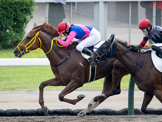 3歳未勝利 結果・払戻 | 2025年7月27日 札幌1R レース情報(JRA