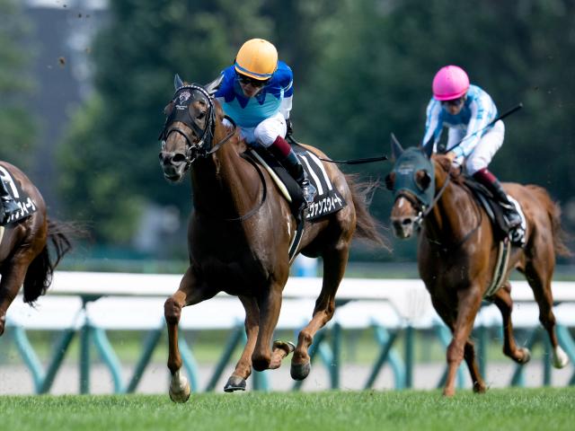 競馬 単勝馬券 No.2 競馬 単勝馬券 No.2