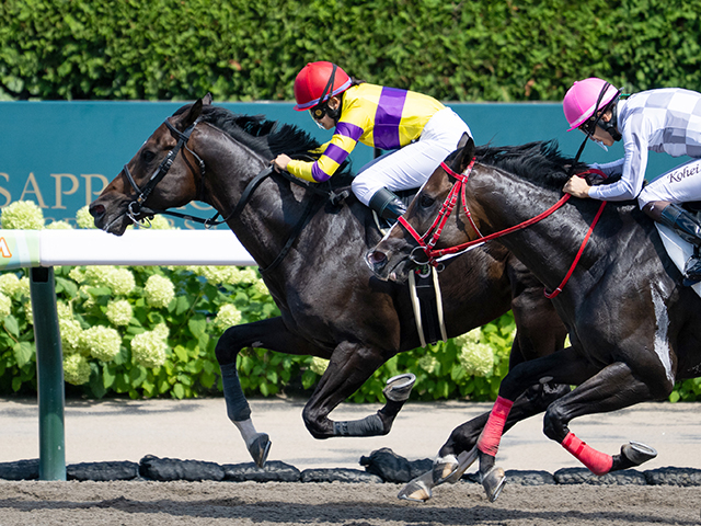 競馬パネル：ホクトベガ「1994年第30回札幌記念」 ※プレート付き 競馬ブックネットSHOP / カラーパネル