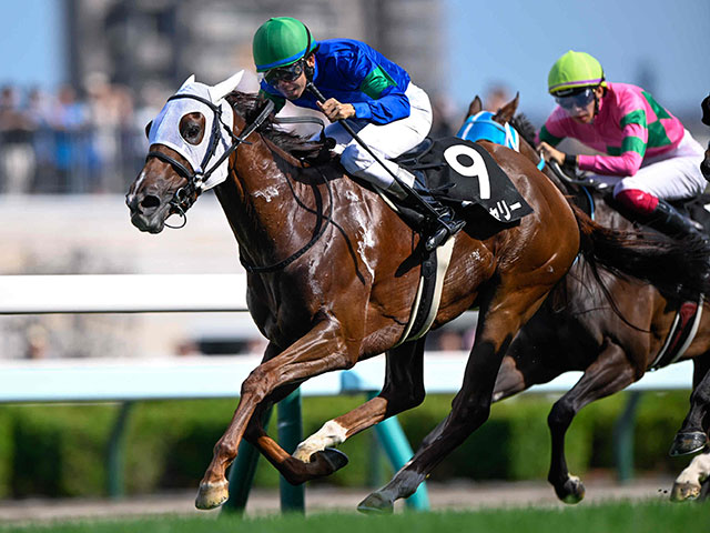 知床特別(2勝クラス) 結果・払戻 | 2025年8月16日 札幌10R