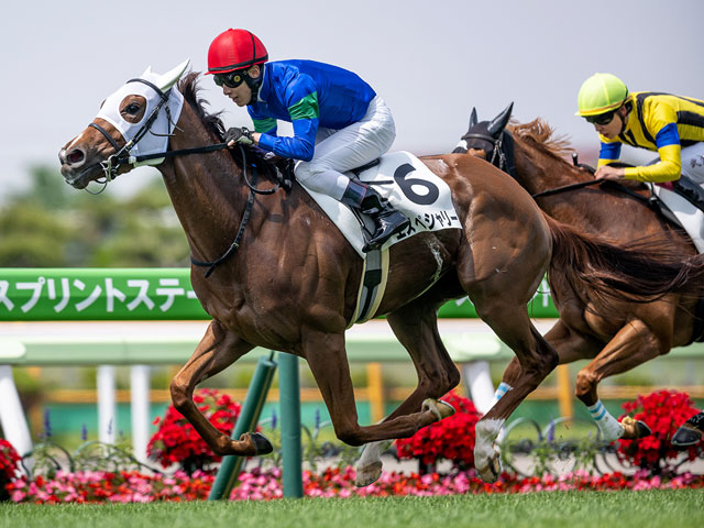 3歳未勝利 結果・払戻 | 2025年6月14日 函館1R レース情報(JRA