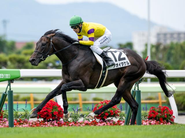 現地購入的中単勝馬券【3歳未勝利（初勝利）】デルタブルース 現地購入的中単勝馬券【3歳未勝利（初勝利）】デルタブルース