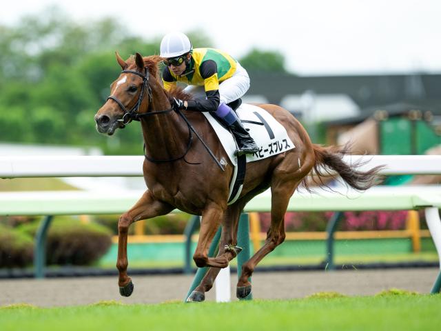 3歳未勝利 結果・払戻 | 2025年6月22日 函館1R レース情報(JRA