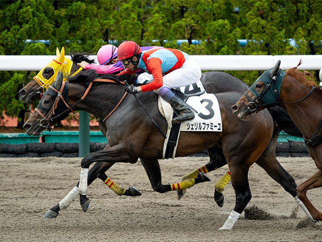 現地購入的中単勝馬券【3歳未勝利（初勝利）】デルタブルース Yahoo!オークション -「単勝馬券」の落札相場・落札価格