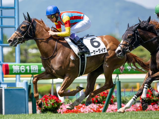 3歳未勝利 結果・払戻 | 2025年6月28日 函館1R レース情報(JRA