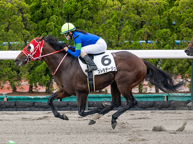 3歳未勝利 結果・払戻 | 2025年6月29日 函館2R レース情報(JRA