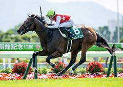 函館記念2025特集 | netkeiba 競馬予想・結果・速報・オッズ