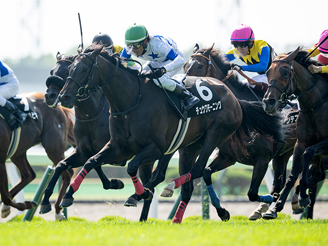 競馬 単勝馬券 No.2 R7/8/23(土) 中央競馬🏁勝負レース結果【厳選11鞍】｜🛡️KEI