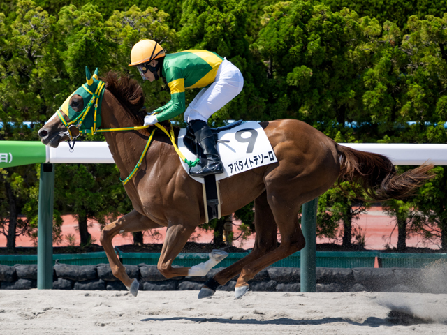 競馬 単勝馬券 No.2 R7/8/23(土) 中央競馬🏁勝負レース結果【厳選11鞍】｜🛡️KEI