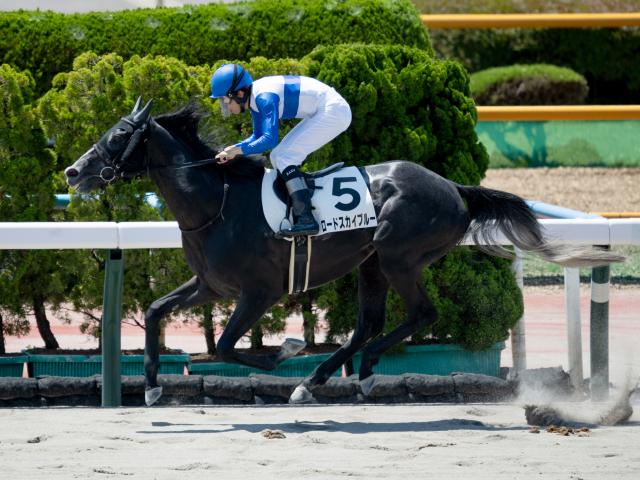 現地購入的中単勝馬券【3歳未勝利（初勝利）】デルタブルース 3歳未勝利 結果・払戻 | 2025年7月13日 函館4R レース情報(JRA