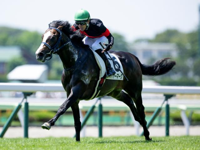 【期限切れ単勝馬券 】2歳新馬　スイープトウショウ　2003/10/18 期限切れ単勝馬券 】2歳新馬 スイープトウショウ 2003/10/18
