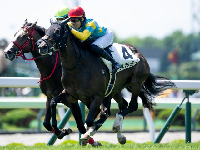 現地購入的中単勝馬券【3歳未勝利（初勝利）】デルタブルース 現地購入的中単勝馬券【3歳未勝利（初勝利）】デルタブルース