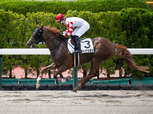 現地購入的中単勝馬券【3歳未勝利（初勝利）】デルタブルース 2025年最新】Yahoo!オークション -馬券の中古品・新品・未使用品一覧