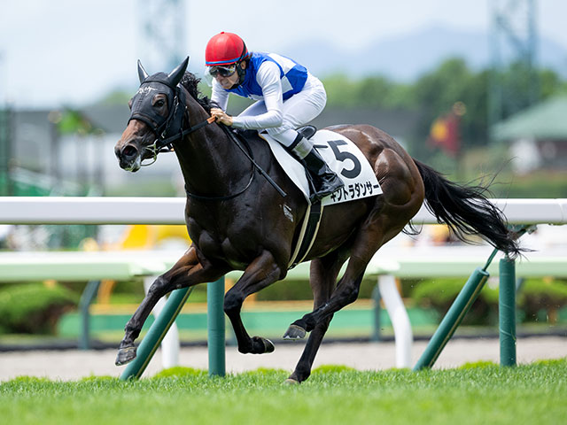 3歳未勝利 結果・払戻 | 2025年7月19日 函館4R レース情報(JRA