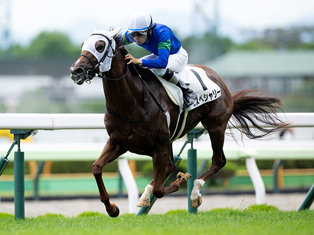 3歳以上1勝クラス 結果・払戻 | 2025年7月19日 函館7R レース