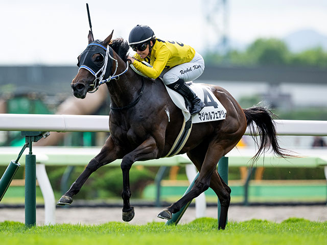 『デュランダル』単勝馬券（Ｇ１出走レース５枚セット） 高額取引馬(1歳)｜セレクションセール2020特集｜競馬情報ならJRA-VAN