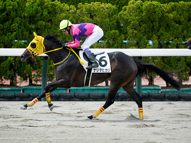 3歳未勝利 結果・払戻 | 2025年7月20日 函館2R レース情報(JRA