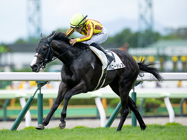 3歳未勝利 結果・払戻 | 2025年7月20日 函館3R レース情報(JRA