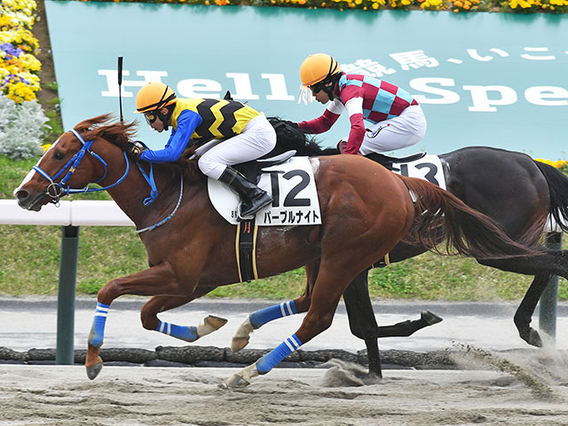 MOMO　福島競馬場限定 ウェルカムチャンス特別賞 起き上がり小法師 MOMO 福島競馬場限定 ウェルカムチャンス特別賞 起き上がり小