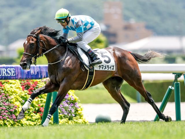 2歳新馬 結果・払戻 | 2025年7月5日 福島4R レース情報(JRA