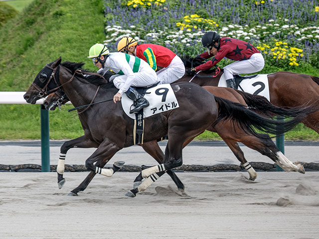 【土日限定価格】福島競馬場　オリジナル起きあがりこぼし 土日限定価格】福島競馬場 オリジナル起きあがりこぼし