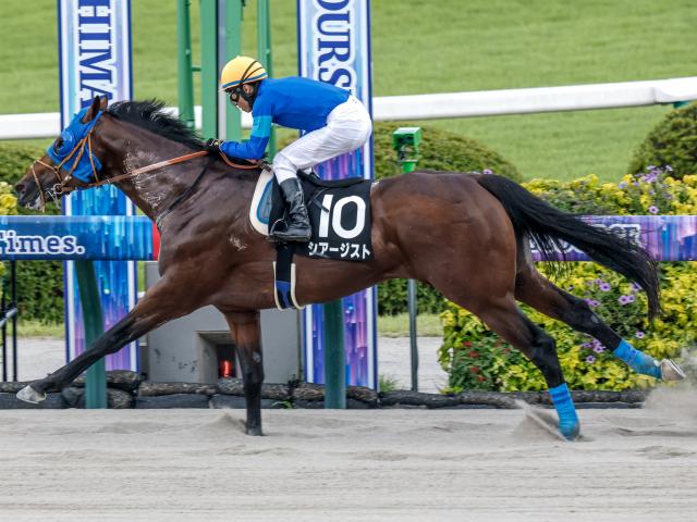 第拾五回競馬番組　福島県産馬組合聯合会　競馬場　　明治44年　開成山　広告 土曜福島競馬場の注目激走馬…福島11R阿武隈ステークス