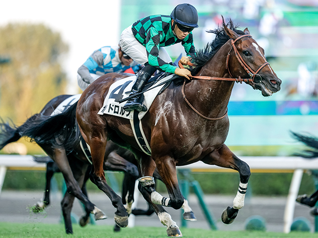 3歳未勝利 結果・払戻 | 2025年7月26日 新潟12R レース情報(JRA